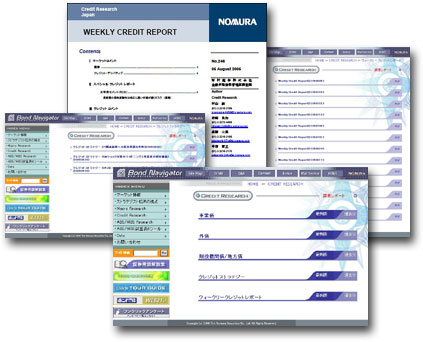 Credit Rating Information